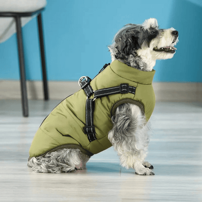 Veste d'hiver douillette et imperméable pour chien