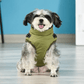 Kuschelige und wasserdichte Winterjacke für Hunde