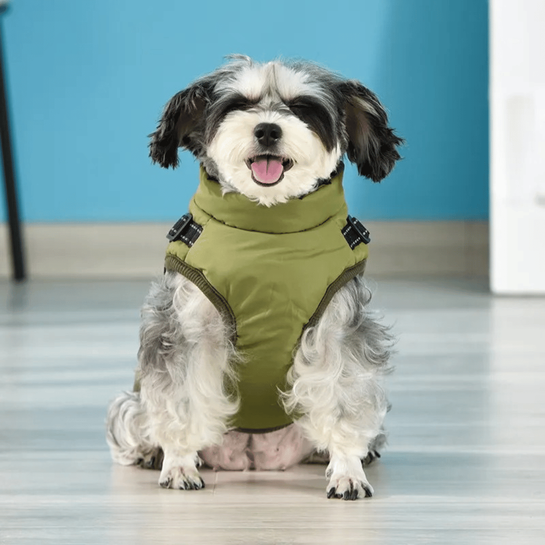 Veste d'hiver douillette et imperméable pour chien