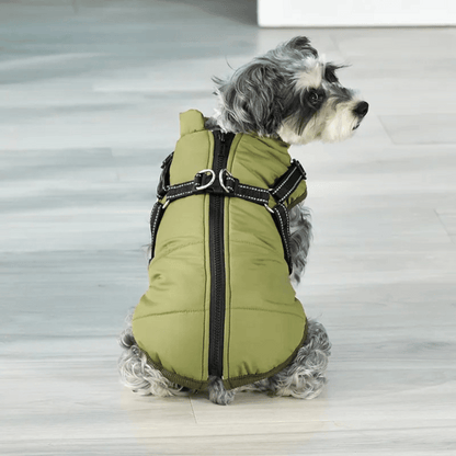 Veste d'hiver douillette et imperméable pour chien