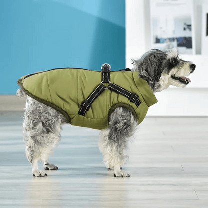 Cozy and waterproof winter jacket for dogs