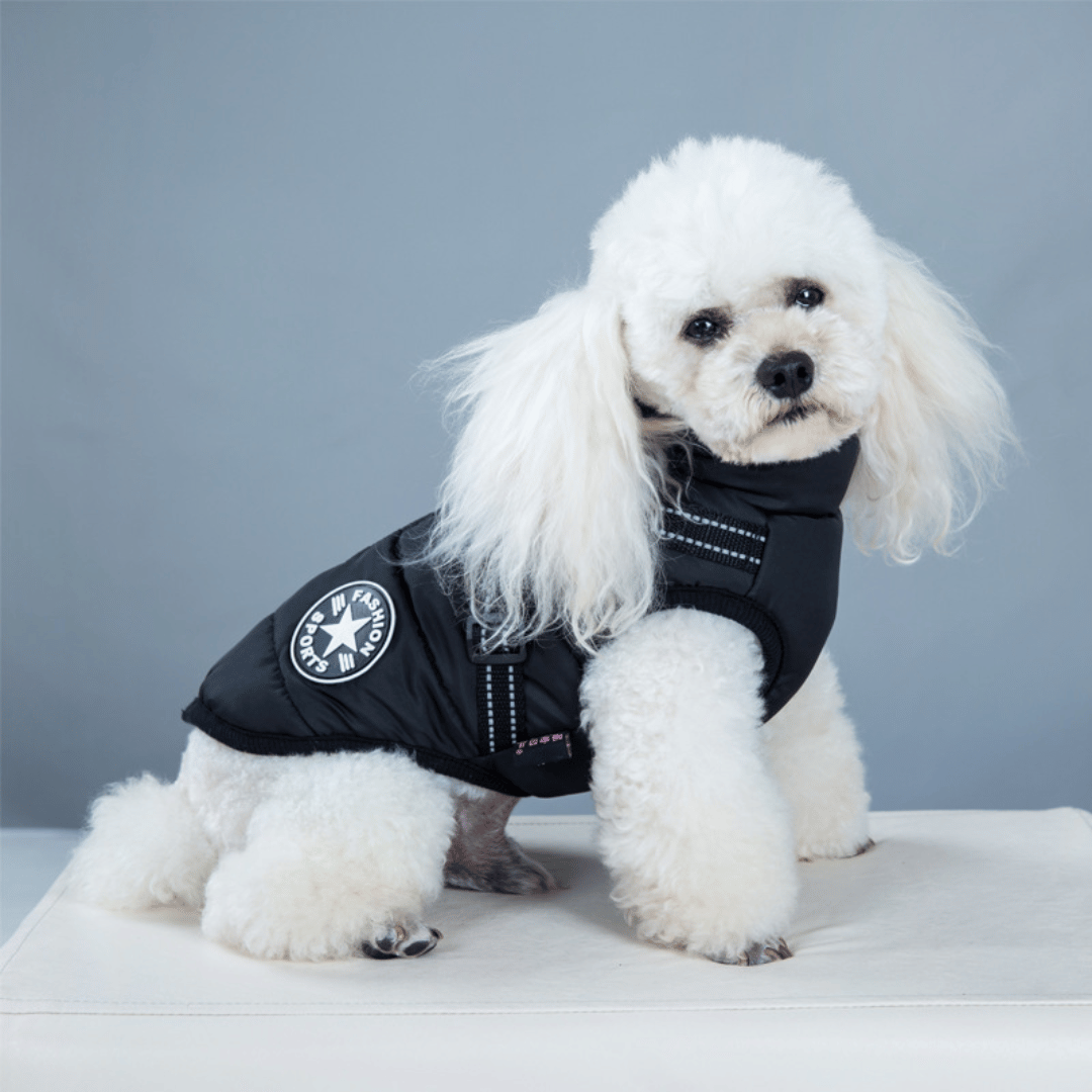 Veste d'hiver douillette et imperméable pour chien