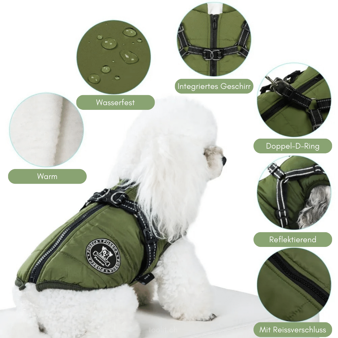 Cozy and waterproof winter jacket for dogs