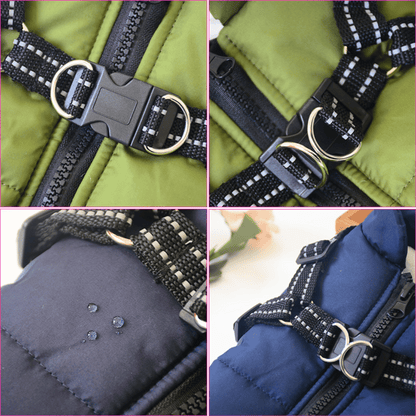 Cozy and waterproof winter jacket for dogs