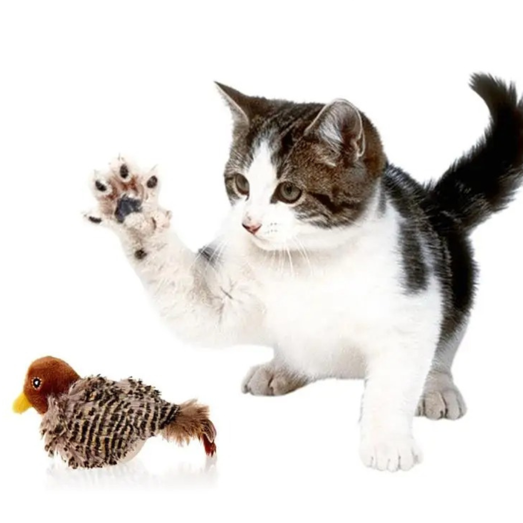 bird simulator cat toy