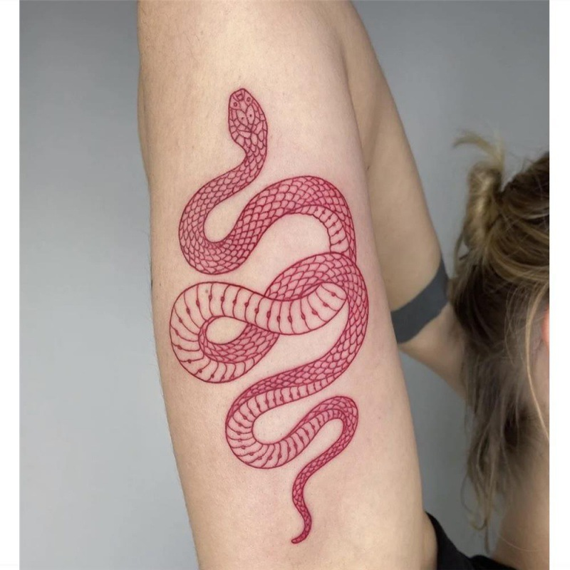 Red Snake temporary sticker tattoo